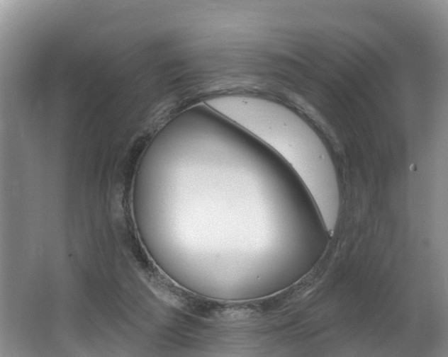 X0000062610209200512210946