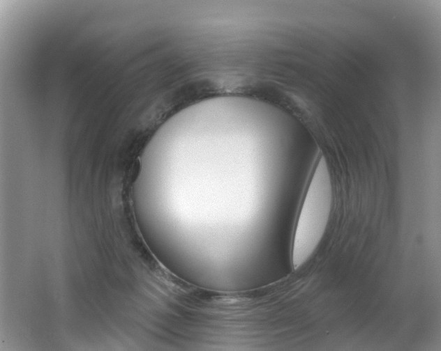 X0000062610221200512210946