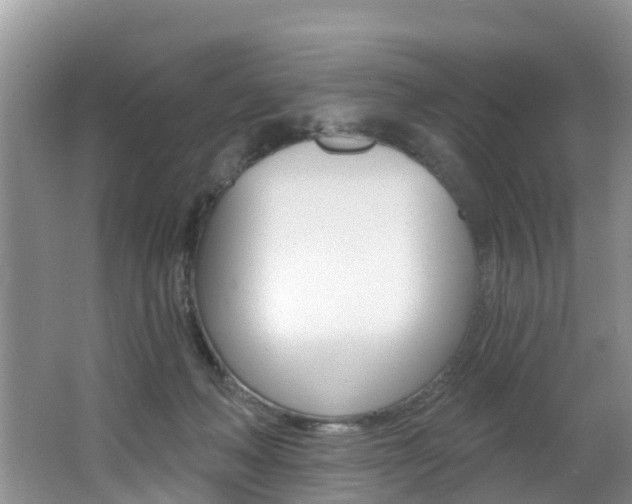 X0000062610222200512210946