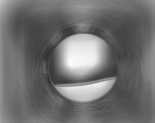 X0000062610224200512210946