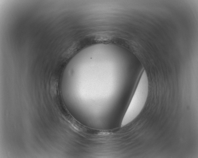 X0000062610227200512210946