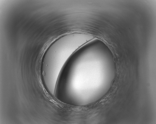 X0000062610241200512210945