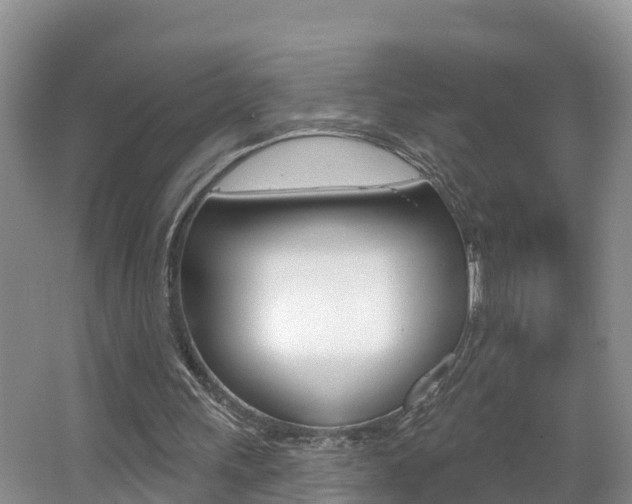 X0000062610243200512210945