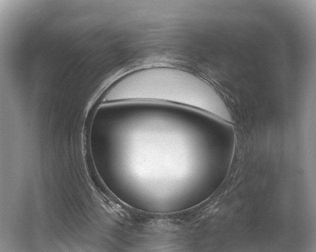 X0000062610244200512210945