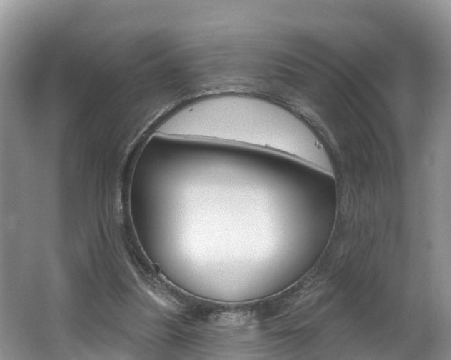 X0000062610251200512210945