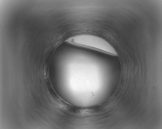 X0000062610268200512210945