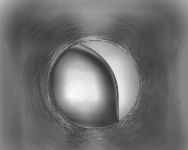 X0000062610289200512210945