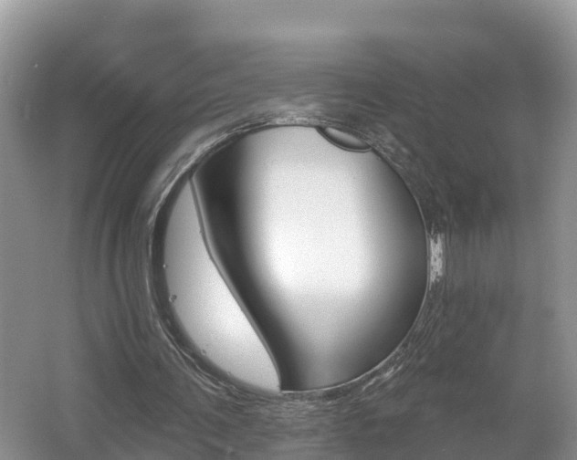X0000062610291200512210945