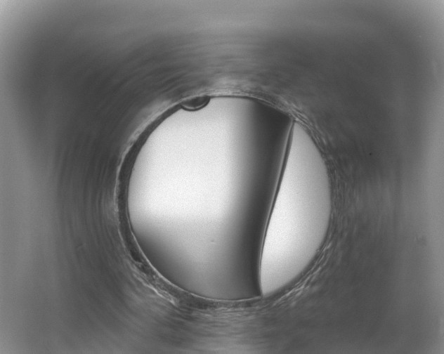 X0000062610292200512210945
