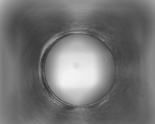 X0000062610294200512210945