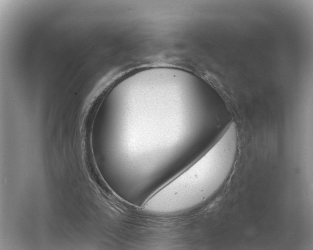 X0000062610295200512210945