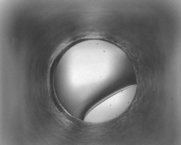 X0000062610296200512210944