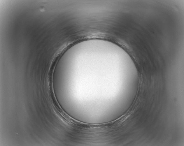 X0000062610298200512210944