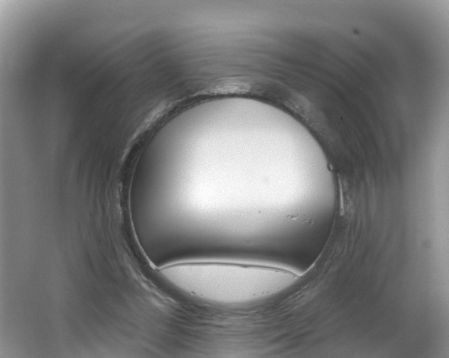 X0000062610300200512210944
