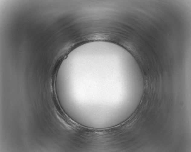 X0000062610302200512210944
