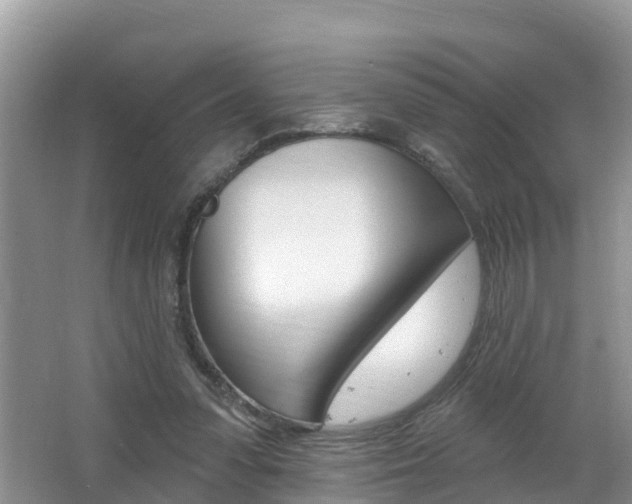 X0000062610303200512210944