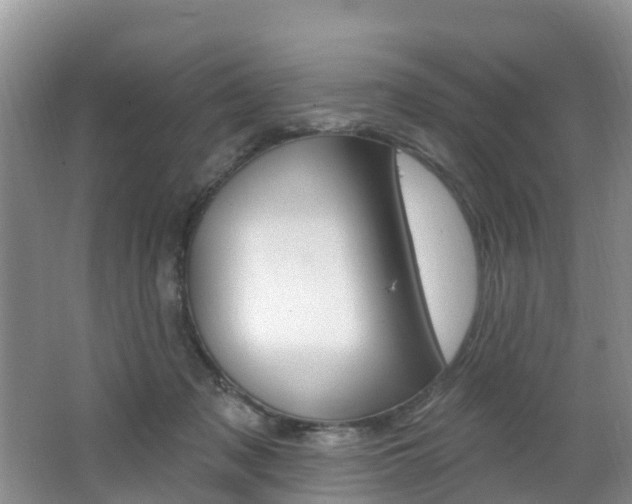 X0000062610317200512210944
