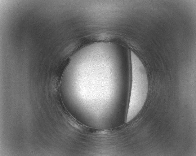 X0000062610325200512210944