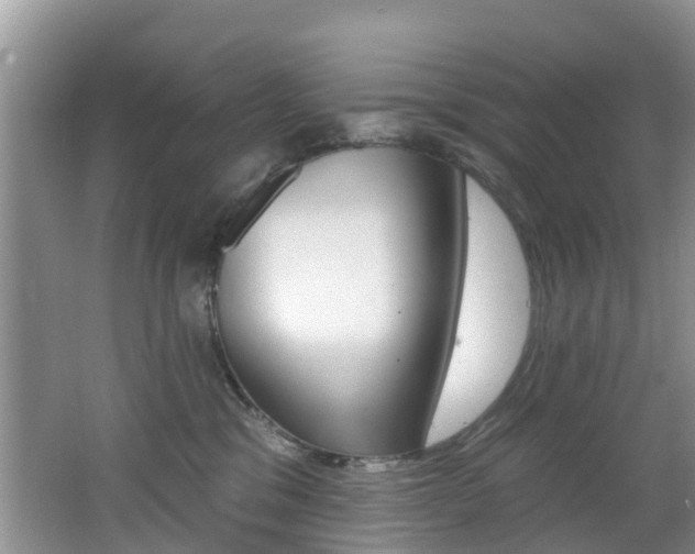 X0000062610329200512210944