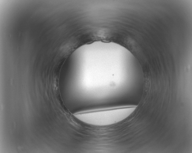 X0000062610331200512210944