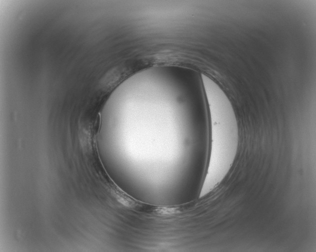 X0000062610333200512210944