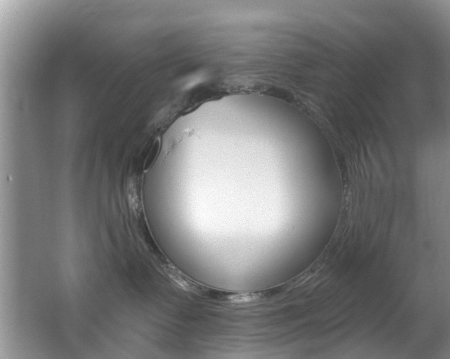 X0000062610335200512210944