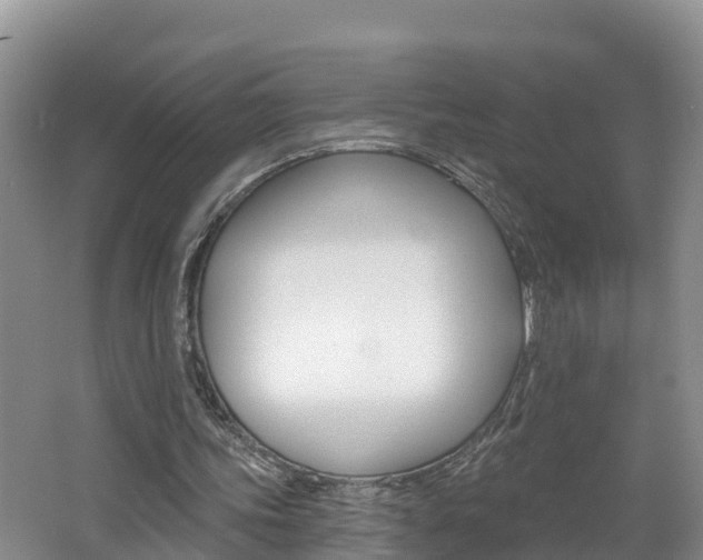 X0000062610339200512210943