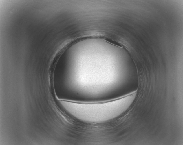 X0000062610350200512210943