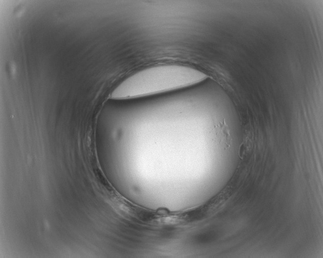 X0000062610365200512210943