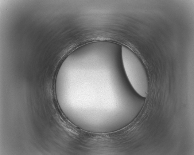 X0000062610386200512210943