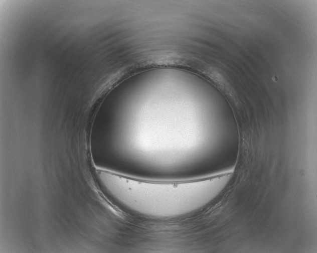 X0000062610397200512210943