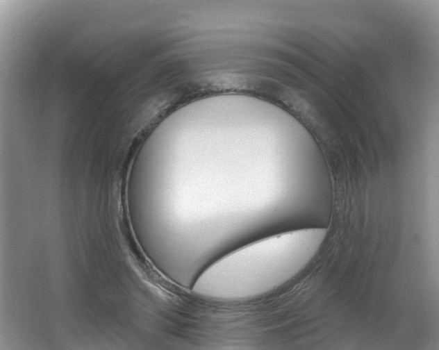 X0000062610398200512210943