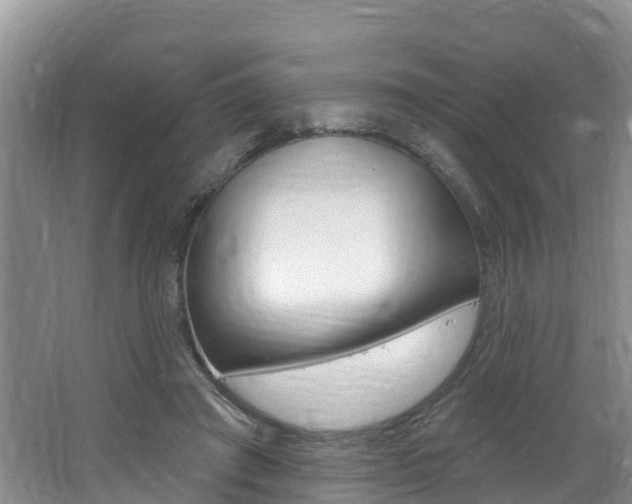 X0000062610401200512210943