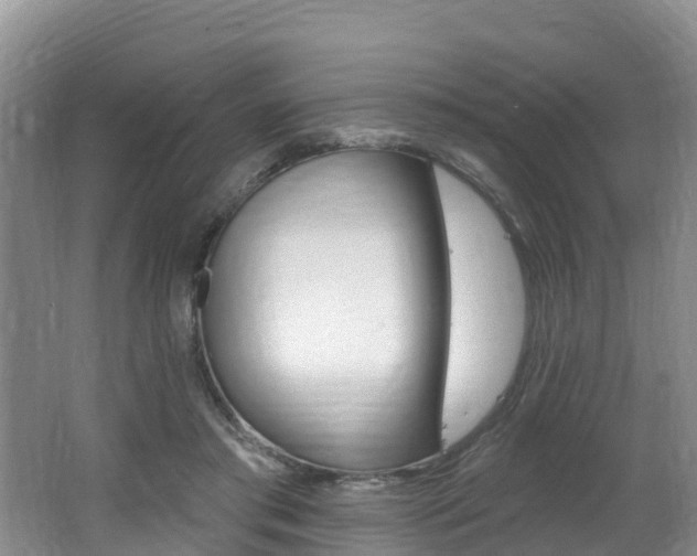 X0000062610405200512210943