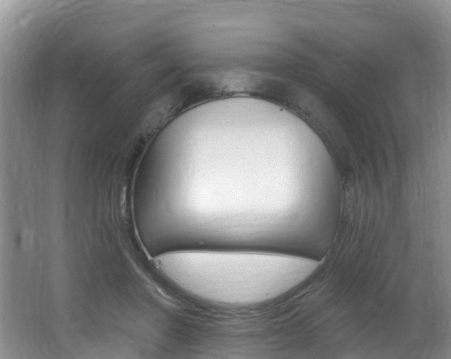 X0000062610406200512210943