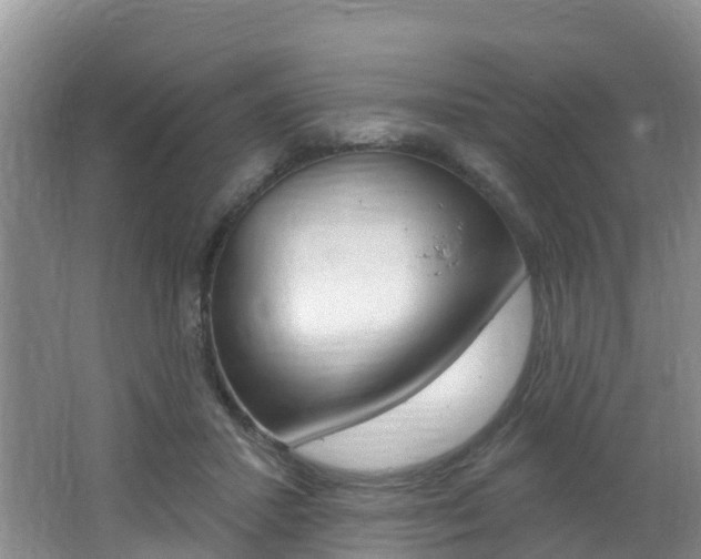 X0000062610407200512210943