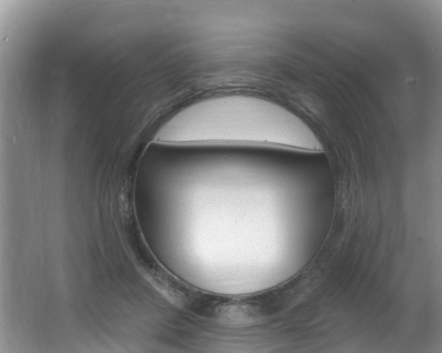 X0000062610408200512210943