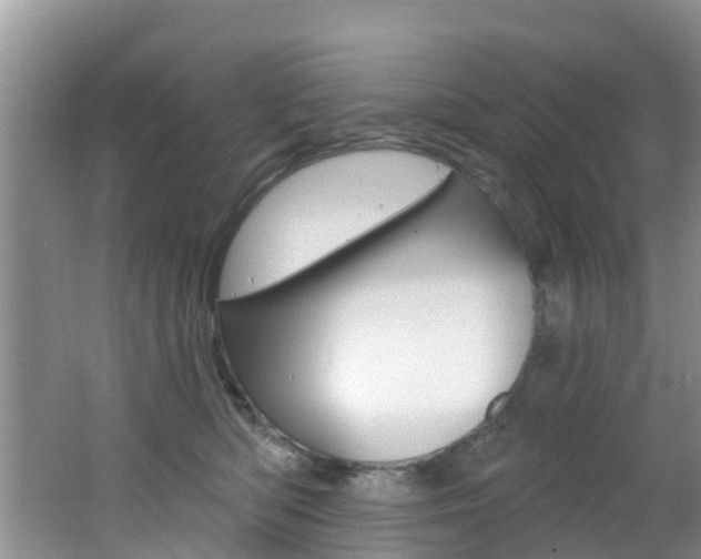 X0000062610422200512210942