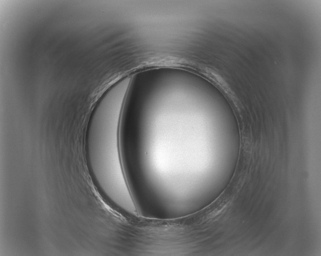 X0000062610433200512210941