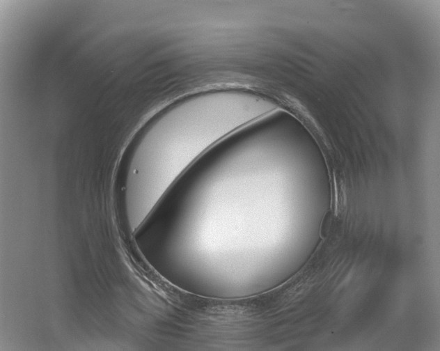 X0000062610435200512210941