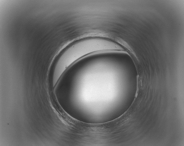 X0000062610436200512210941