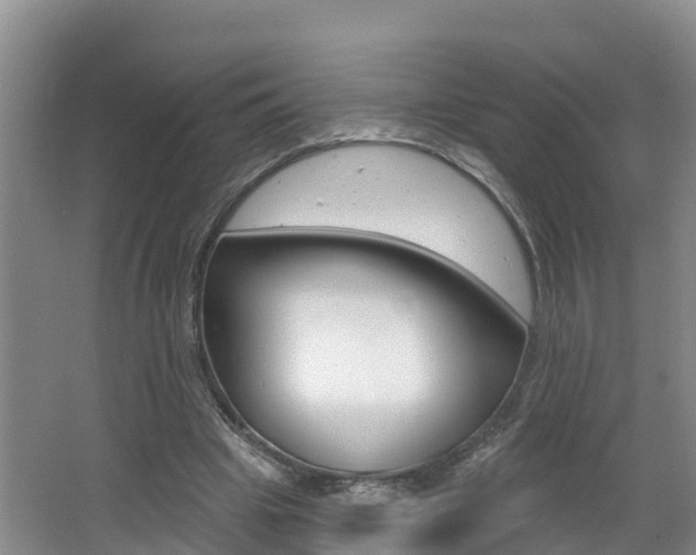 X0000062610441200512210941
