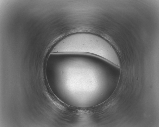 X0000062610442200512210941