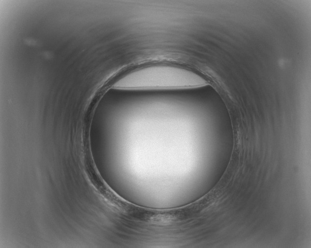 X0000062610444200512210941