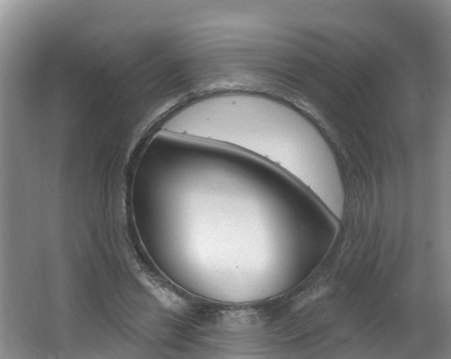 X0000062610446200512210942