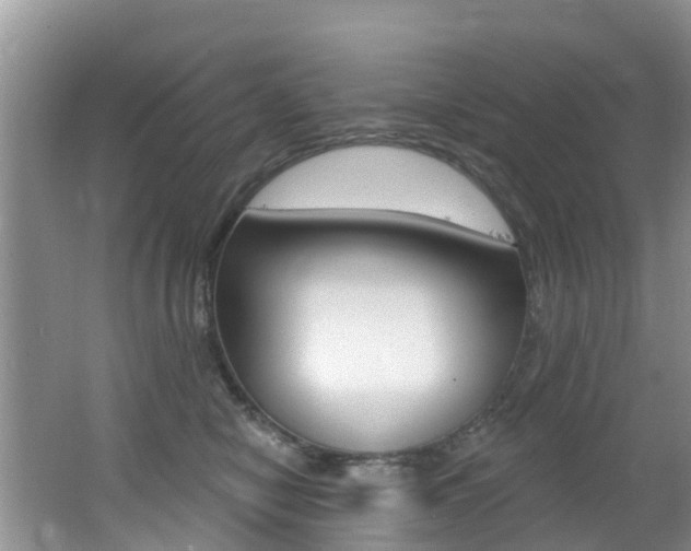 X0000062610470200512210942