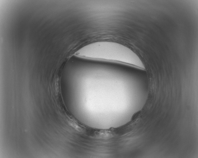X0000062610475200512210942