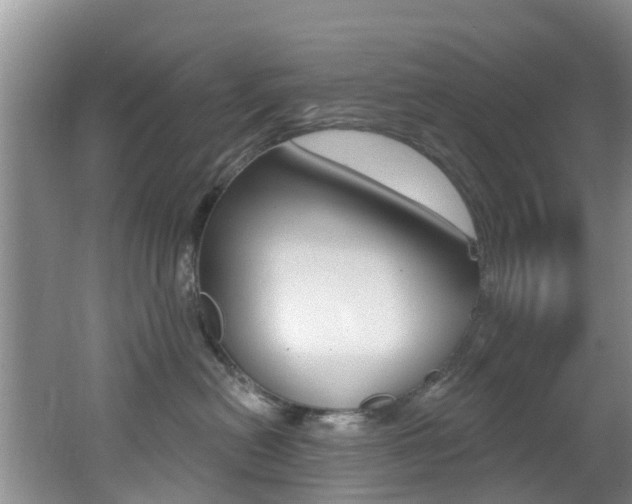 X0000062610478200512210942