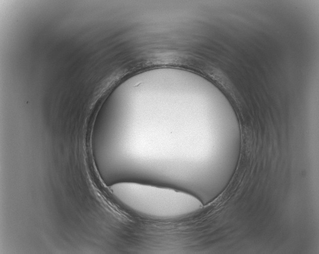 X0000062610482200512210941