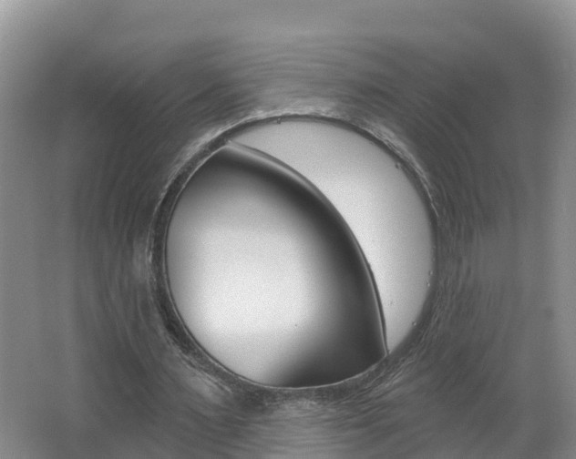 X0000062610483200512210941